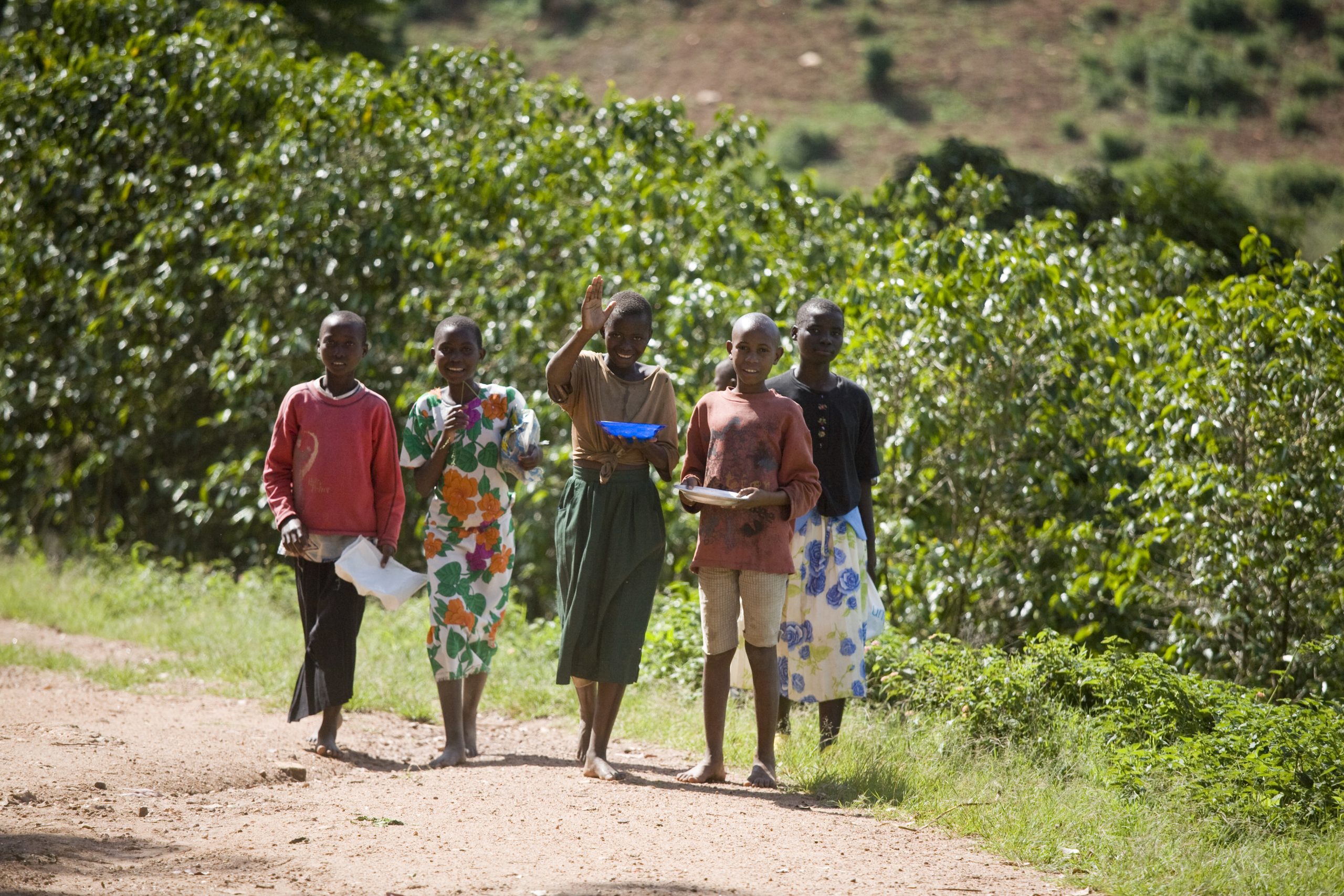 Climate & Health: Why 20 NGOs Are Pilot-Testing HENNET’s Green Health Grants
